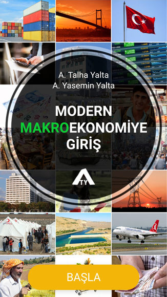 Modern Makroekonomiye Giriş iktisat kitabı kapak